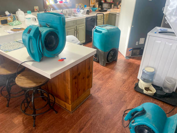 Best 24-hour water damage restoration  in East Canton, OH