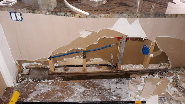 Best Mold removal after water damage  in East Canton, OH