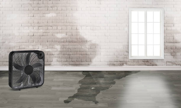 Best Water damage restoration near me  in East Canton, OH