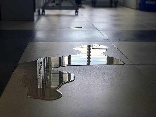 Best Water damage cleanup near me  in East Canton, OH