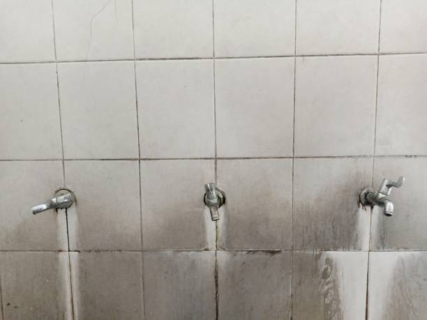 Best Water damage mitigation services  in East Canton, OH