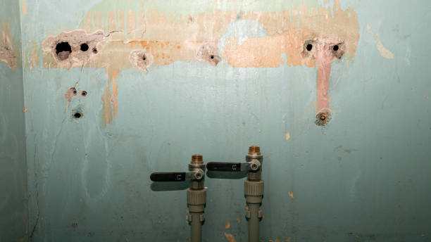Best Water damage restoration near me  in East Canton, OH