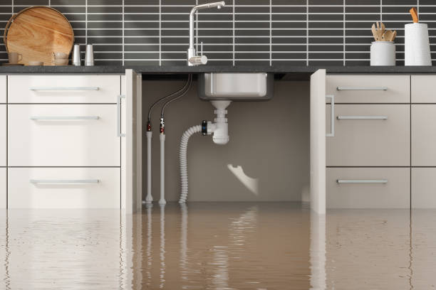 Best Local water damage restoration  in East Canton, OH